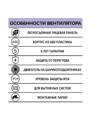 Вентилятор накладной WIND D100 двигатель BB ERA