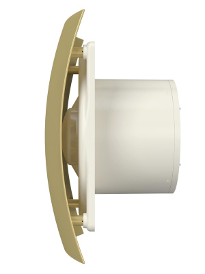 Вентилятор накладной BREEZE D125 обр.клапан Champagne DICITI